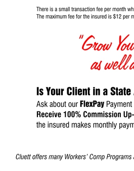 FlexPay Payment Program