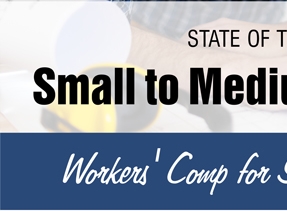 Small to Medium-Sized Employers